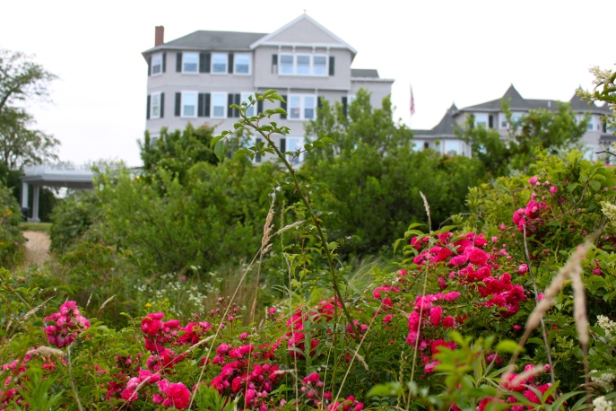Flowers and View of the Harbor View Inn from Beach